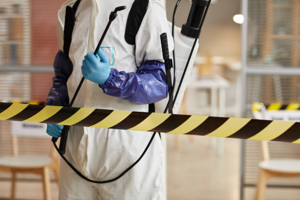 Professional Sewage Cleanup technician working in Waverly, NY